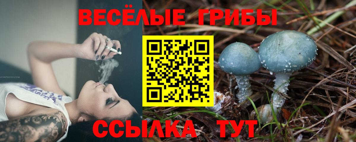 Кировск  Галлюциногенные грибы GOLDEN TEACHER  Вход с VPN 